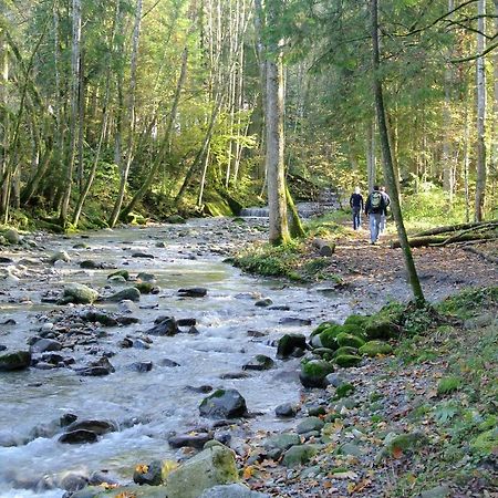 Ferienhaus Wetzel Weiler-Simmerberg Eksteriør billede